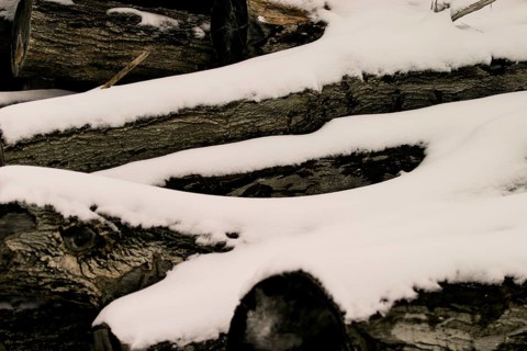 Snow-covered logs lie piled in a winter scene in London, Ontario, Canada, North America