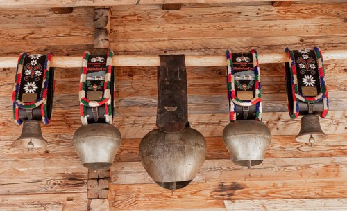 Cow, cowbells and bells, traditional bells, mountain pasture, cultural heritage