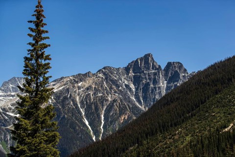 Mountain peaks with patches of snow rising above a rich evergreen forest as viewed along the Trans