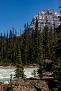 Mountain landscape with a river cutting through dense forest inside Yoho National Park, in British