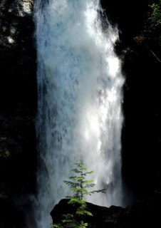 Tall waterfall with tree at its base in a forest inside Cascade Falls Regional Park, Deroche,