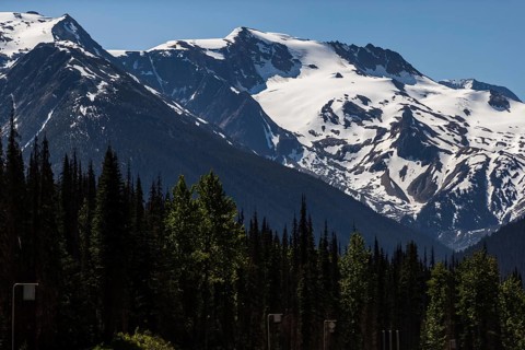 Expansive glacier amid mountains, bordered by forested area under blue sky as viewed along the