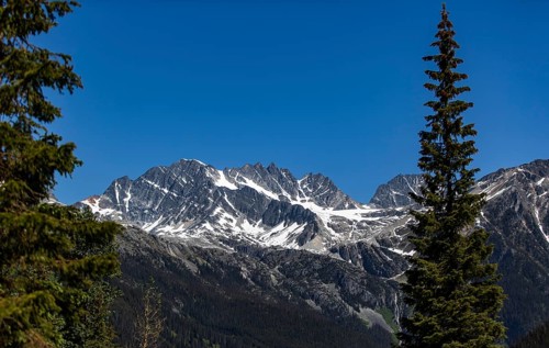 Snowy mountain peaks surrounded by a lush forest under clear skies as viewed along the Trans Canada