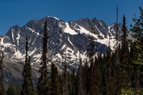 Jagged mountain range with patches of snow above a dense forest near Revelstoke, British Columbia,