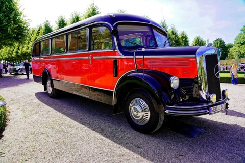 MERCEDES-BENZ 3500, built in 1950, retro bus in a sunny park with trees, Oldtimer Classic, Gala