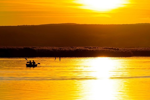 Lake Neusiedl, Burgenland, Austria, Europe, Canoeists on reflecting water in front of a shining,