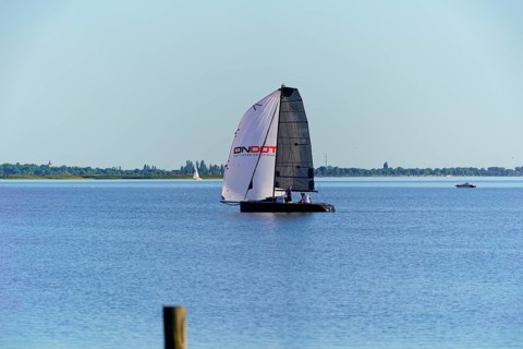 Lake Neusiedl, Burgenland, Austria, Europe, A catamaran with large sails sails on a calm lake with