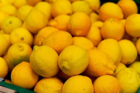 Farmer's market on the Münsterplatz, Stall, Ulm, Baden-Württemberg, Germany, Europe, Fresh yellow