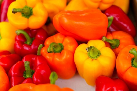 Farmers' market on Münsterplatz, Stall, Ulm, Baden-Württemberg, Germany, Europe, Colourful peppers