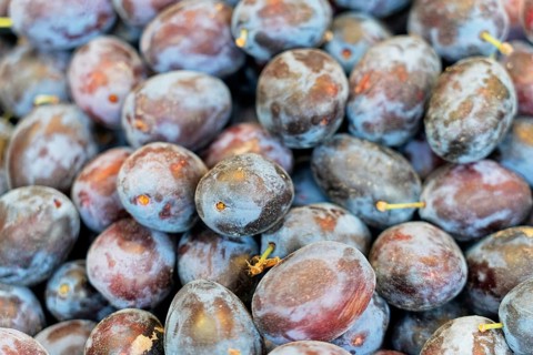 Farmer's market on the Münsterplatz, stall, Ulm, Baden-Württemberg, Germany, Europe, close-up of