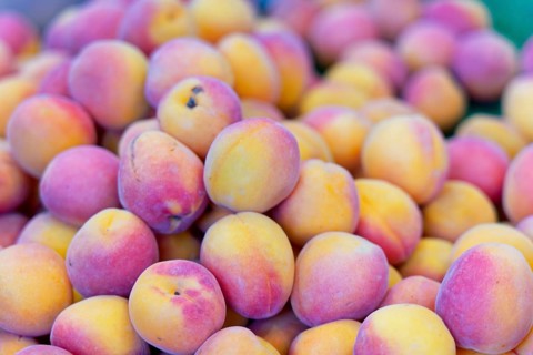 Farmers' market on Münsterplatz, Stall, Ulm, Baden-Württemberg, Germany, Europe, Fresh apricots