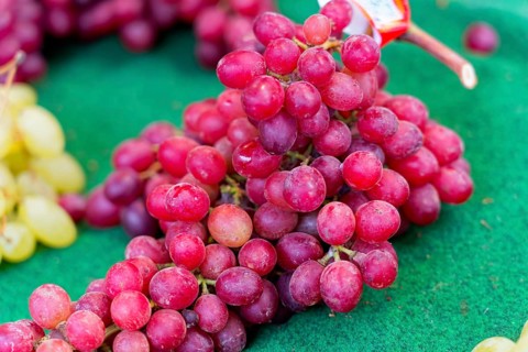 Farmer's market on the Münsterplatz, Stall, Ulm, Baden-Württemberg, Germany, Europe, Red grapes on