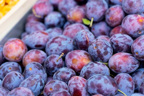 Farmer's market on Münsterplatz, stall, Ulm, Baden-Württemberg, Germany, Europe, close-up of fresh