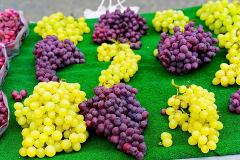 Farmers' market on Münsterplatz, Stall, Ulm, Baden-Württemberg, Germany, Europe, Fresh green and