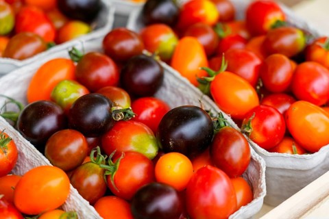 Farmers' market on Münsterplatz, stall, Ulm, Baden-Württemberg, Germany, Europe, Multicoloured
