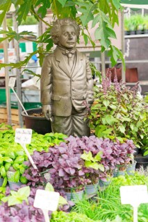 Farmers' market on Münsterplatz, stall, Ulm, Baden-Württemberg, Germany, Europe, Einstein sculpture