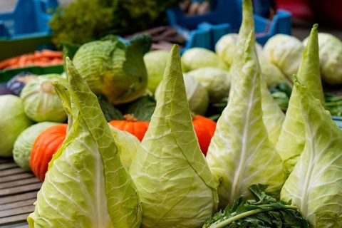 Farmers' market on Münsterplatz, Stall, Ulm, Baden-Württemberg, Germany, Europe, Fresh pointed