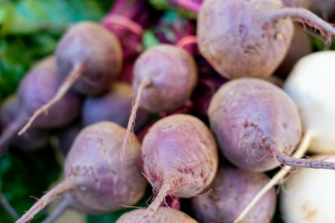 Farmer's market on the Münsterplatz, stall, Ulm, Baden-Württemberg, Germany, Europe, pile of purple