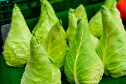 Farmer's market on the Münsterplatz, Stall, Ulm, Baden-Württemberg, Germany, Europe, Fresh pointed