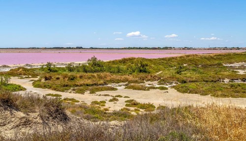 Scenery around Salin-de-Giraud located in in the Camargue area in southern France wich is showing
