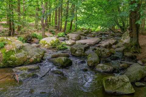 Impression at the idyllic nature reserve named Hoelle in the Bavarian Forestin Southern Germany at
