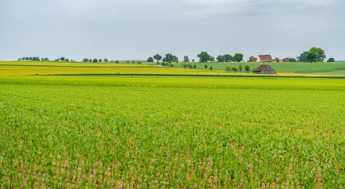 Idyllic rural scenery in Hohenlohe, a area in Southern Germany