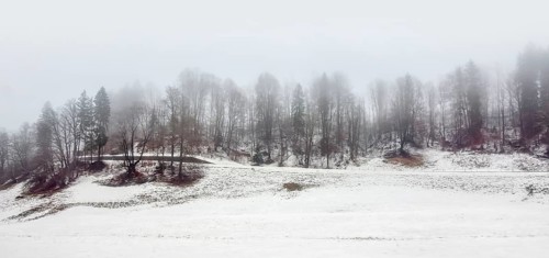 Roadside scenery at the Berchtesgadener Land in Bavaria, Germany at winter time