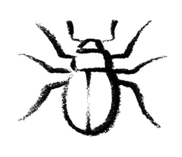 Crayon-sketched beetle in white back