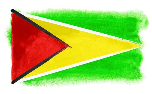 Watercolor illustration of the Guyana flag