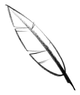 Crayon-sketched illustration of a quill
