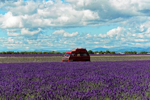 Red motorhome standing in a wide lavender field under a cloudy sky, Provence, Département