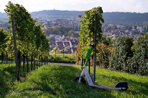 E-scooter, electric scooter, scooter parked in the vineyard next to vines, in the bike rental of