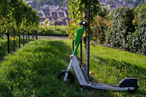 E-scooter, electric scooter, scooter parked in the vineyard next to vines, in the bike rental of