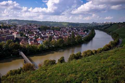 Neckar river loops along vineyard, vines, grapevines, wine growing, district Münster, Freiberg,
