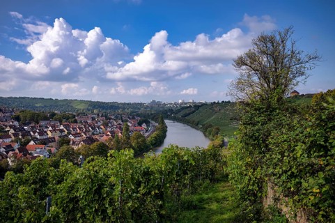 Neckar river loops along vineyard, vines, grapevines, wine growing, district Münster, Freiberg,