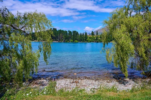 View of a lake entrance with overhanging willow trees and blue sky, Queenstown, Queenstown-Lakes