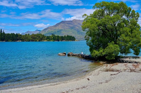 Tranquil seascape with a tree on a small island and mountain backdrop, Queenstown, Queenstown-Lakes