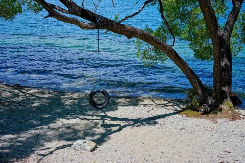 Tyre swing on a tree above a lake shore with water view, Queenstown, Queenstown-Lakes District,