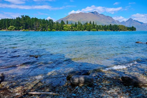 Waves on the lakeshore in front of mountain landscape and forested background, Queenstown,