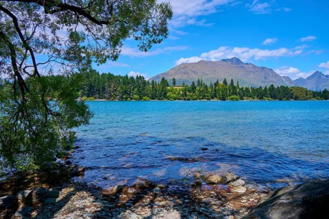 Clear lakeshore with view of mountains and forest in the background, Queenstown, Queenstown-Lakes