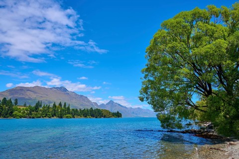 Landscape with lake, green trees and mountains under blue sky, Queenstown, Queenstown-Lakes