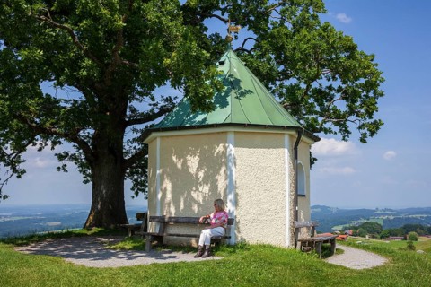 Lookout chapel with Luitpoldeiche, near Törwang, Samerberg, Chiemgau, Upper Bavaria, Bavaria,