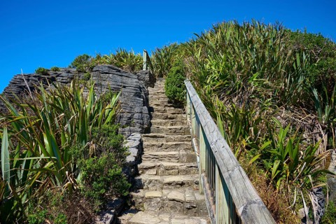Stone steps lead through lush vegetation overlooked by a blue sky, Pancake Rocks, Westport,