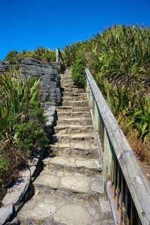 A stone staircase winds its way through green vegetation under a blue sky, Pancake Rocks, Westport,
