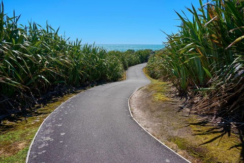 A winding tarmac path meanders through dense vegetation under a blue sky, Pancake Rocks, Westport,