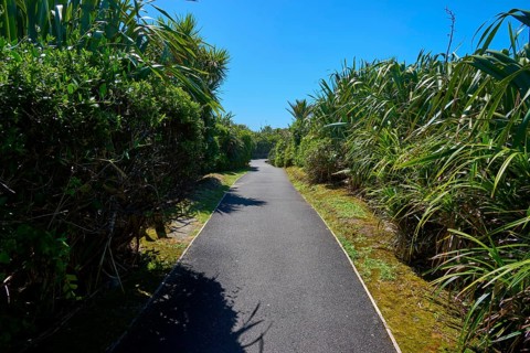 A narrow tarmac path leads through lush greenery in the sunshine under a blue sky, Pancake Rocks,