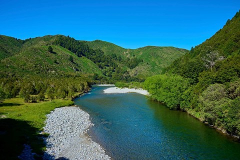 Extensive river course through green mountains under a clear sky, Buller River, Murchison, Tasman,