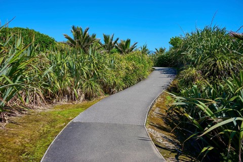 A gently curving tarmac path lined with plants leads along under a clear sky, Pancake Rocks,