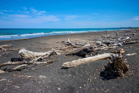 A coastal landscape with driftwood and blue sky, Mana Bay, Patea, Taranaki, North Island, New