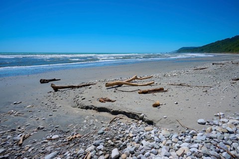 Rocky beach with driftwood and a view of the blue ocean, West Coast, South Island, New Zealand